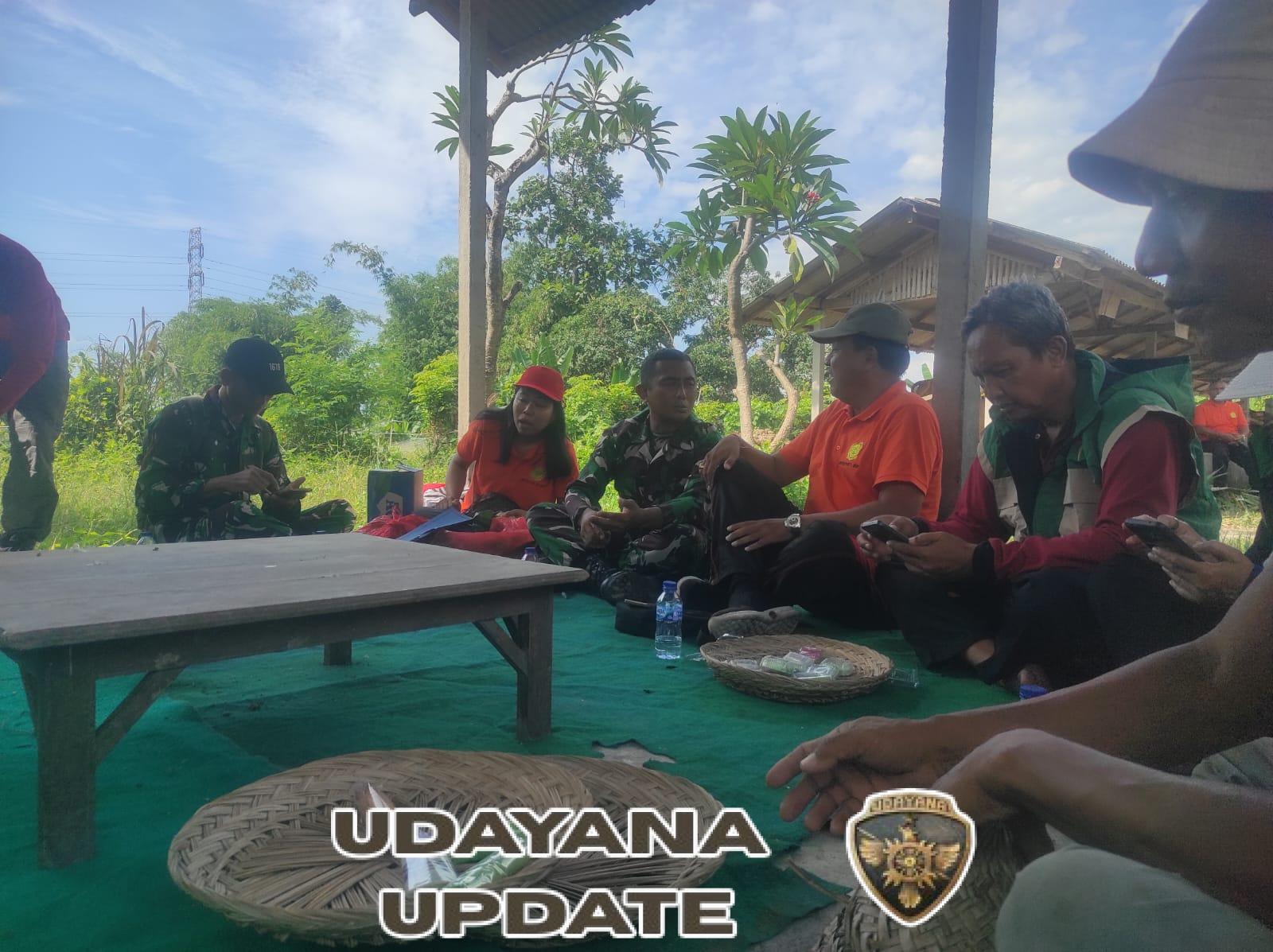 Danramil Klungkung Hadiri Gerakan Panen Padi Bersama