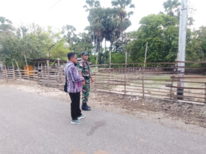 Babinsa Koramil 1627-03/Batutua Kawal Pengecekan Lahan KDMP Demi Pemberdayaan Warga