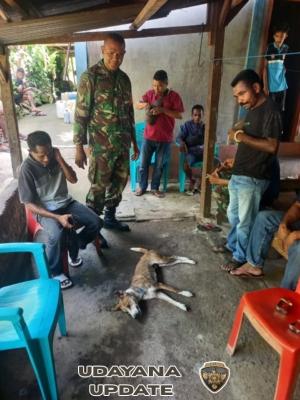 Babinsa Koramil 1603-05/Bola Kawal Program Eliminasi HPR di Kecamatan Doreng