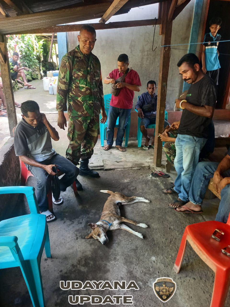 Babinsa Koramil 1603-05/Bola Kawal Program Eliminasi HPR di Kecamatan Doreng