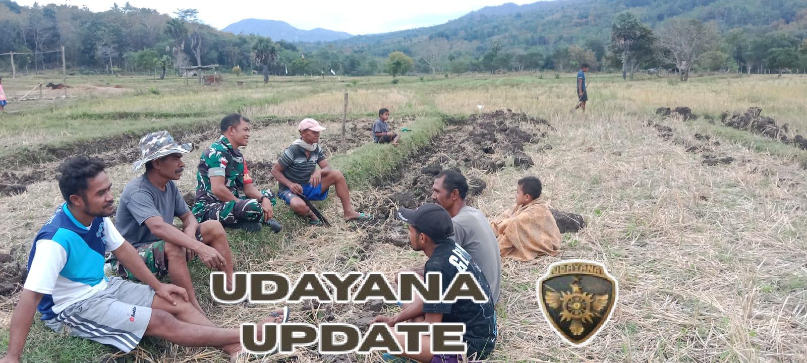 Babinsa Koramil 1618-01/Miotim dan Petani Nilulat Duduk Bersama Bahas Solusi Pertanian di Musim Tanam