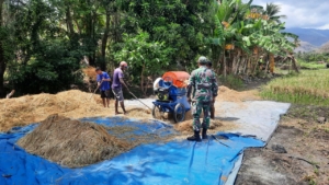 Babinsa Ajak Petani Segera Olah Lahan Pasca Panen di Desa Air Mancur