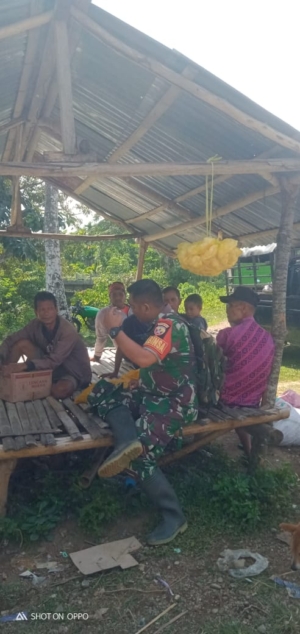 Babinsa Tabundung Gelar Komsos dengan Masyarakat di Pasar Tradisional Praing Kareha
