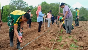 Pos Salore Armed 12 Bantu Warga Tulakadi Tanam Jagung di Perbatasan