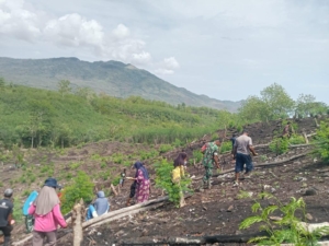 TNI dan Warga Kolaborasi Menanam Padi di Lahan Milik Rahman Penda