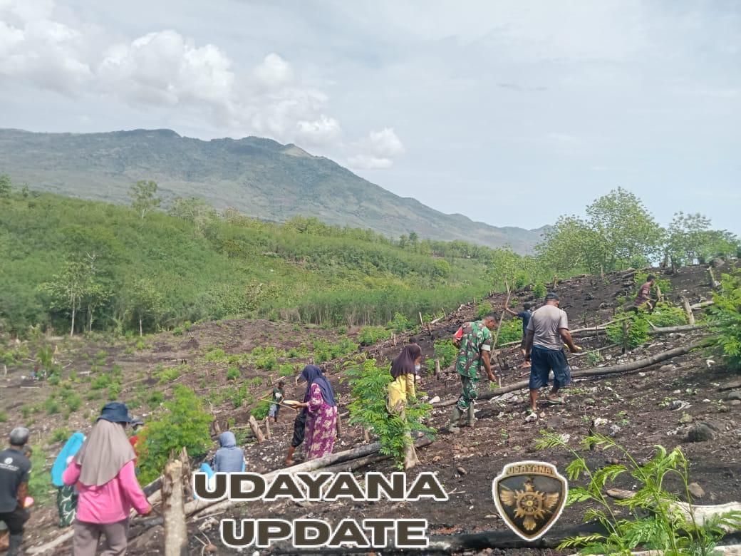 TNI dan Warga Kolaborasi Menanam Padi di Lahan Milik Rahman Penda