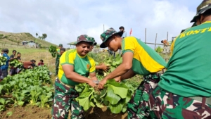 Pos Fohuk Satgas Pamtas Gelar Penyuluhan Hanpangan dan Panen Sayur Bersama Warga Piebulak