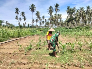 Maksimalkan Produktivitas, Babinsa 1630-03/Macang Pacar Ajarkan Teknik Gembur Tanah yang Efektif kepada Petani Jagung.