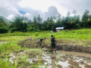 Pratu Hezron Wora Dampingi Petani Karera Siapkan Lahan Pertanian