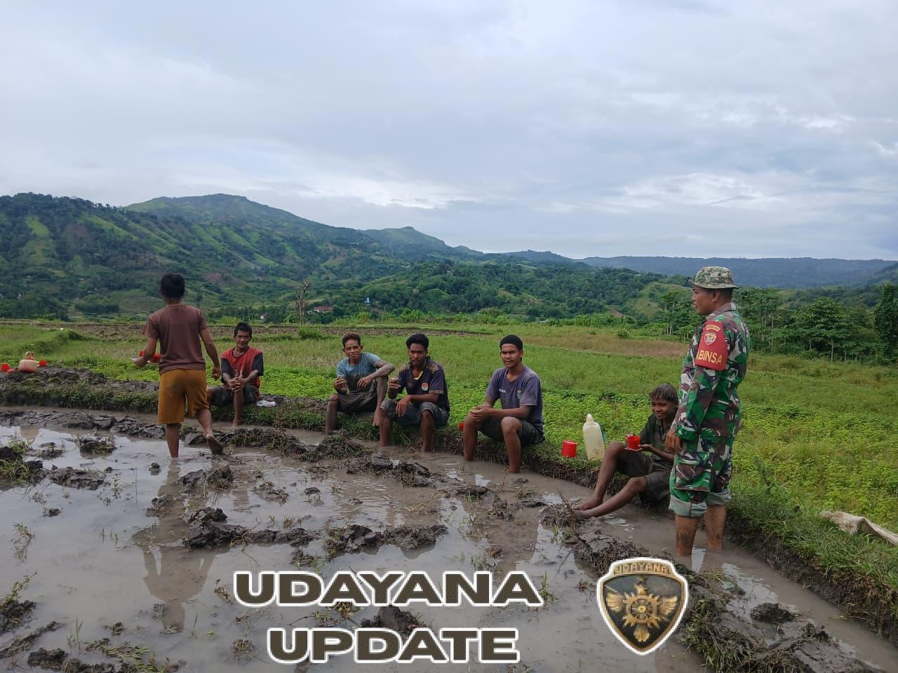 Sertu Arifudin Turun ke Sawah Bantu Warga Binaan di Sumba Barat