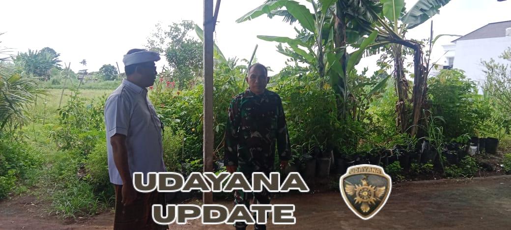 Danramil Banjarangkan Didampingi Perbekel Dan Babinsa Gelar Pengecekan Lahan Rencana Pembangunan KDKMP Di Desa Banjarangkan