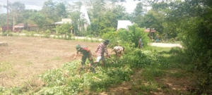 Gotong Royong Babinsa dan Warga Desa Laihau Siapkan Lahan Kantor Koperasi