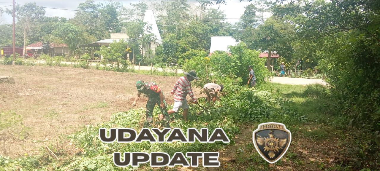 Gotong Royong Babinsa dan Warga Desa Laihau Siapkan Lahan Kantor Koperasi