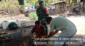 TNI AD Bantu Sukseskan Vaksinasi Rabies, Babinsa Turun Langsung di Kotabaru