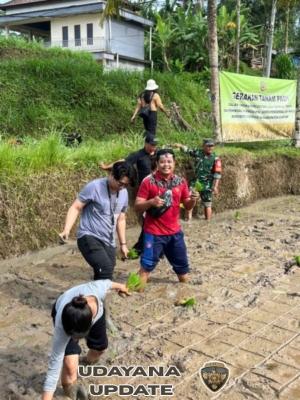 Pelda Budiarta Turun Sawah, Perkuat Percepatan Luas Tanam dan Ketahanan Pangan