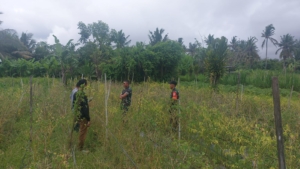 Sasar Desa Tusan, Dandim Klungkung Tinjau Lahan Rencana Pembangunan KDKMP