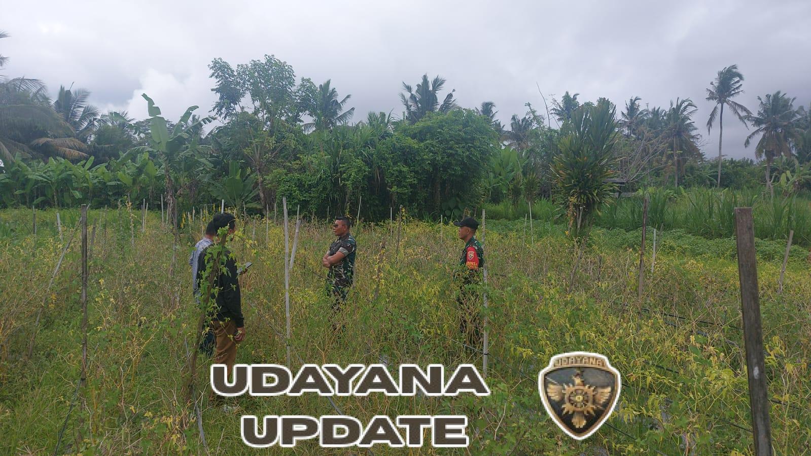 Sasar Desa Tusan, Dandim Klungkung Tinjau Lahan Rencana Pembangunan KDKMP