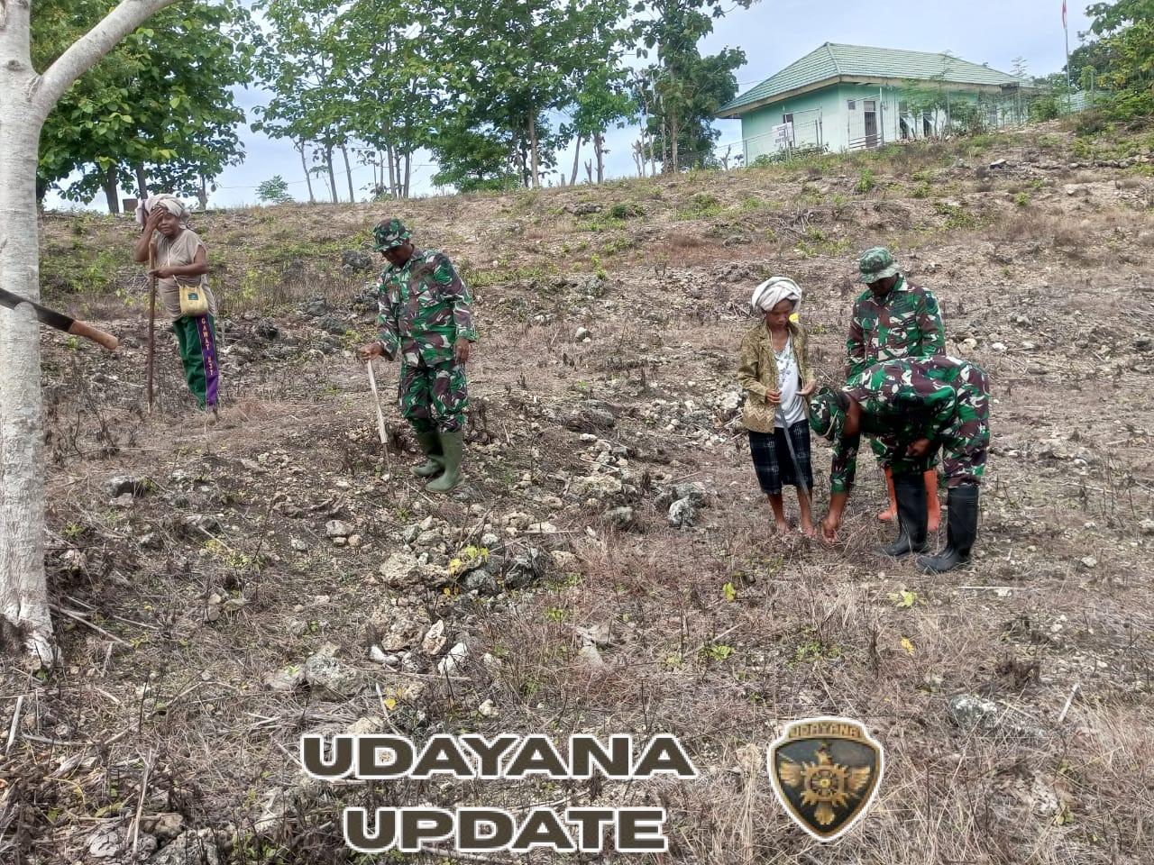 Bantu Tanam Jagung, Satgaster Pos Halibete I dan 2 Pupuk Semangat Gotong Royong Bersama Petani