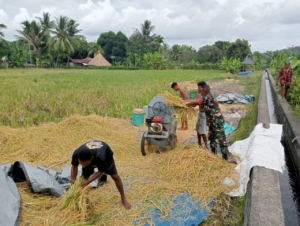 Sertu Isak Mauleti Turun Langsung Bantu Petani di Desa Tulleng