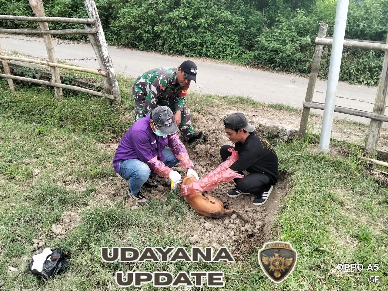 Babinsa Desa Seran Lakukan Pendampingan Penanganan Korban Gigitan Anjing Diduga Rabies