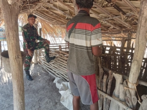 Babinsa Serda Basuki Beri Motivasi kepada Peternak Babi di Desa Bena