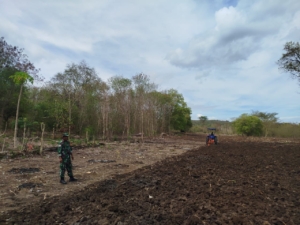 Sertu Yohanis Asabain Kawal Optimalisasi Pertanian di Desa Pante Daere