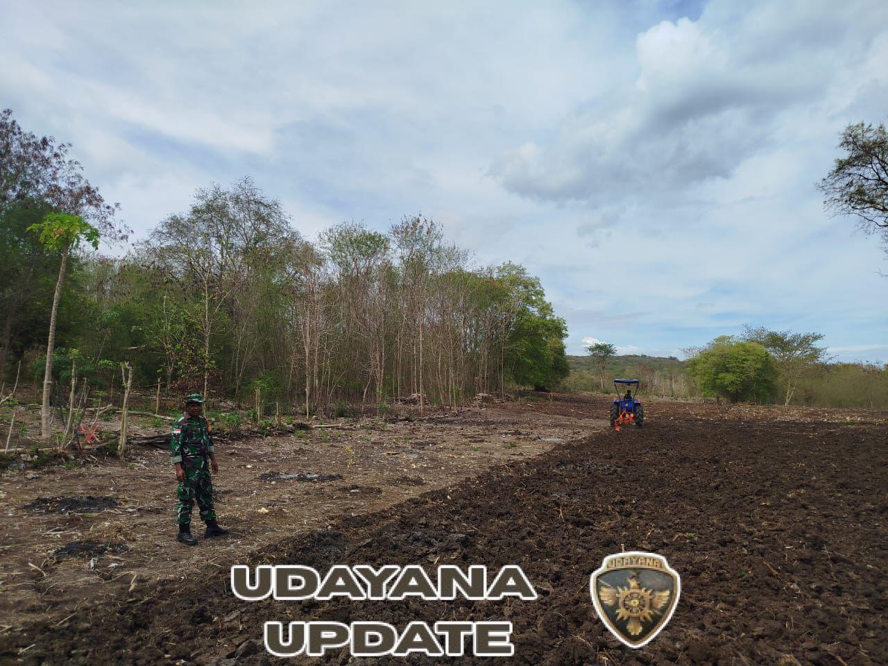 Sertu Yohanis Asabain Kawal Optimalisasi Pertanian di Desa Pante Daere