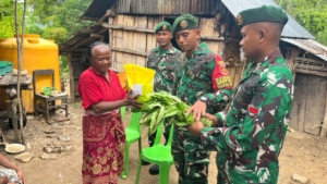 Panen Ketahanan Pangan, Satgas Pamtas Yonarhanud 2 Kostrad Bagikan Sayuran ke Warga Perbatasan