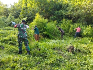 Gotong Royong Babinsa Goa Bersama Masyarakat di TPU Jeruk Manis dan Gedung Pasamaras