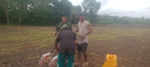 Tingkatkan Produktivitas, Babinsa Sumba Barat Gelar Penyuluhan Ketahanan Pangan