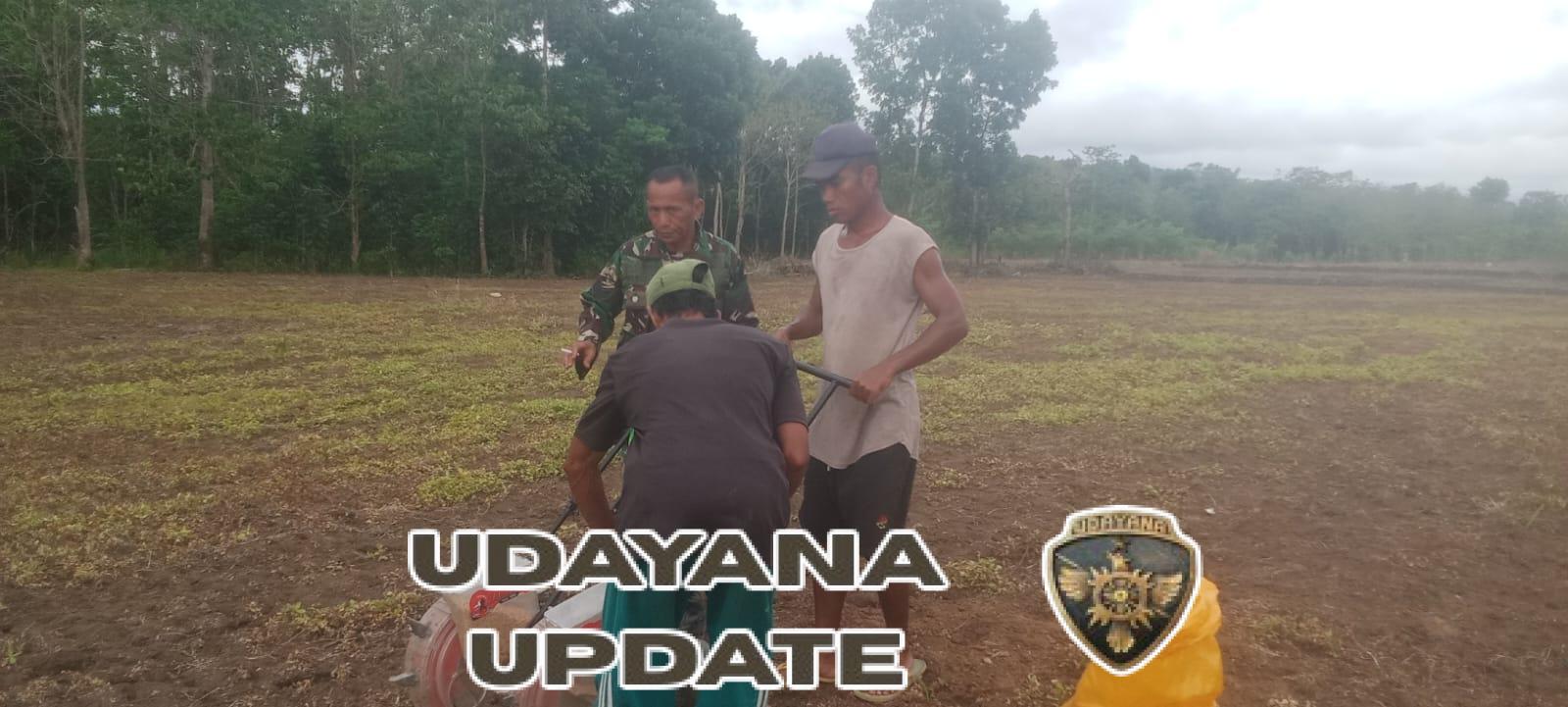 Tingkatkan Produktivitas, Babinsa Sumba Barat Gelar Penyuluhan Ketahanan Pangan