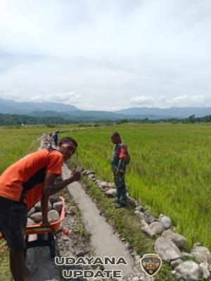 Babinsa Koramil 1602-03/Detusoko Dampingi Pengerjaan Irigasi Desa Fataatu