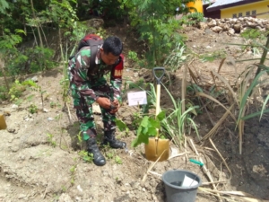 Babinsa Oebufu Dukung Penanaman Pohon Peringati Hari Bakti