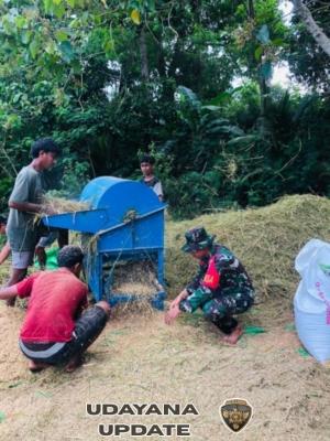 Kuatkan Kedekatan dengan Warga, Babinsa Koramil 06/Karera Dampingi Petani di Desa Nangga