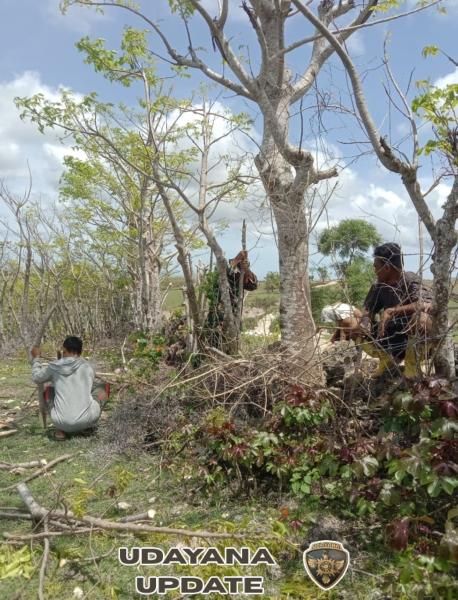 Babinsa Batutua Gotong Royong Bersama Petani Persiapkan Musim Tanam
