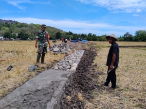 Babinsa Koramil 1602-04 Dampingi Pengerjaan Irigasi Poktan Kalombale di Tou Timur