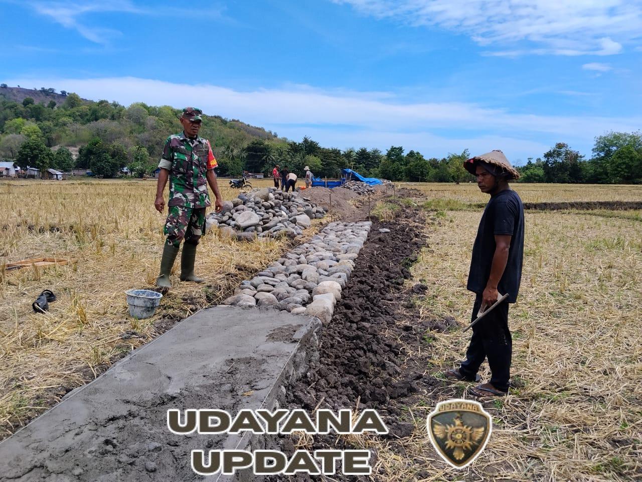 Babinsa Koramil 1602-04 Dampingi Pengerjaan Irigasi Poktan Kalombale di Tou Timur