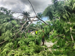 Babinsa Katikutana Evakuasi Pohon Tumbang di Desa Cendana