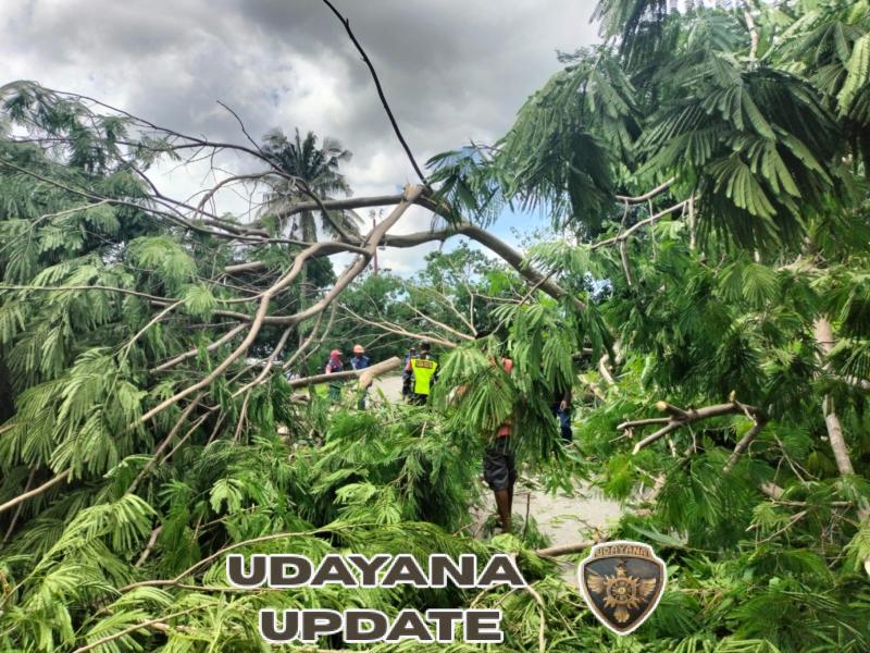 Babinsa Katikutana Evakuasi Pohon Tumbang di Desa Cendana