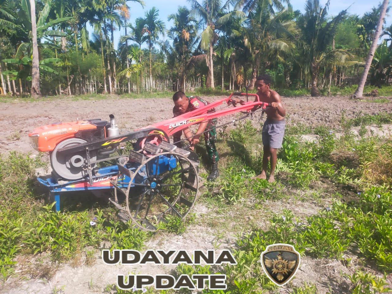 Babinsa Dampingi Warga Hadakamali Persiapan Lahan Tanam Jagung Menjelang Musim Hujan