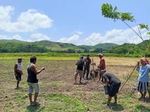 Babinsa Tabundung Bantu Petani Tanam Padi Ladang di Desa Karita