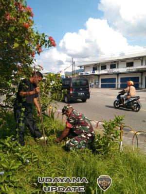 Peringati Hari Pohon Sedunia, Babinsa Ende Ikut Tanam Pohon di Taman IPPI