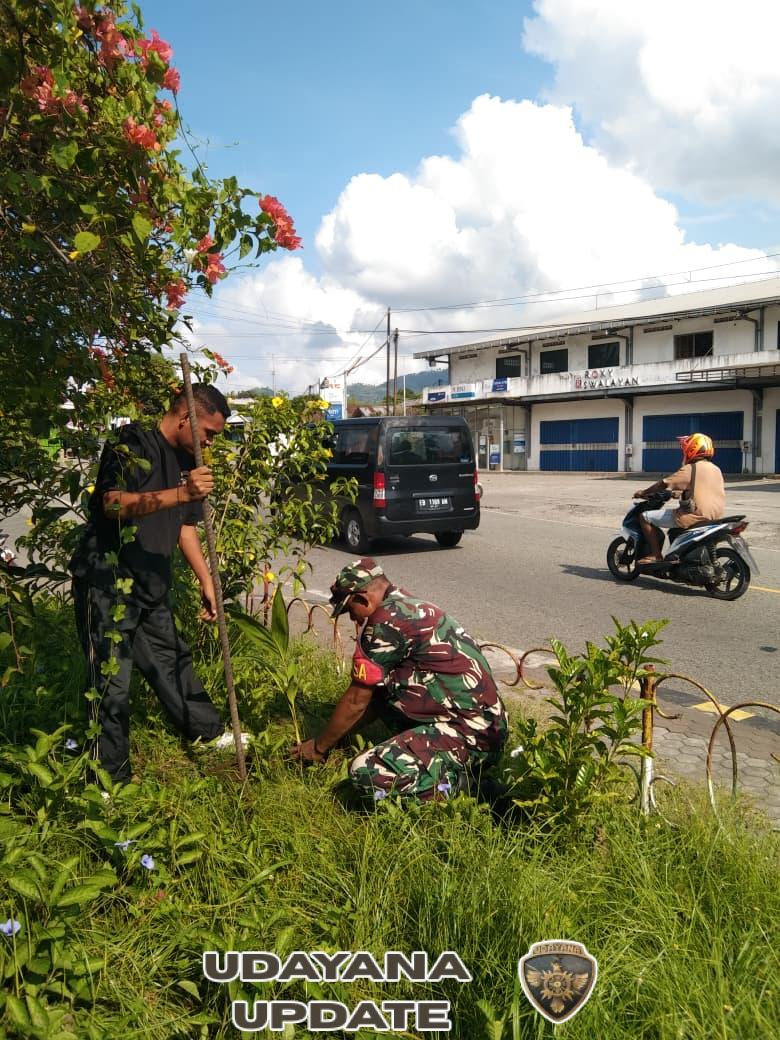 Peringati Hari Pohon Sedunia, Babinsa Ende Ikut Tanam Pohon di Taman IPPI