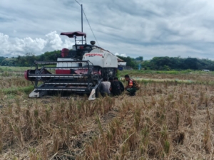 Babinsa Koramil 1601-02/Rindi Umalulu Bantu Perbaikan Alat Panen di Hanggaroru