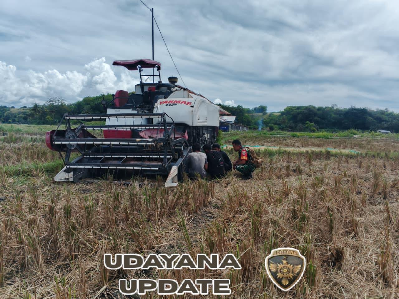 Babinsa Koramil 1601-02/Rindi Umalulu Bantu Perbaikan Alat Panen di Hanggaroru