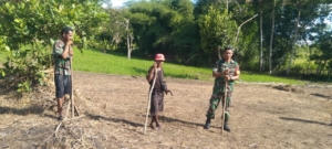 Babinsa Koramil 01/Lewa Bantu Petani Tanam Jagung di Musim Hujan