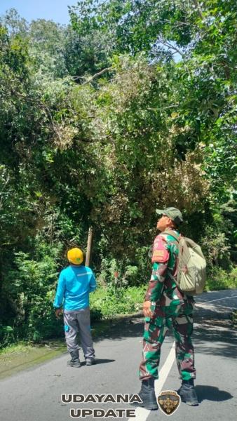 Babinsa Desa Tongo Sigap Atasi Korsleting Listrik Akibat Pohon Tumbang di Jalan Raya