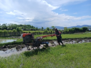 Babinsa Koramil 1614-03 Hu’u Dampingi Warga Bajak Sawah di Desa Daha