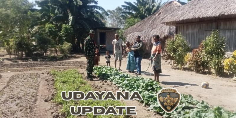 Serka Domingos Soares Gerakkan Warga untuk Tingkatkan Budidaya Sayur di Tingkat Rumah Tangga