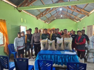 Babinsa Sertu Ananias Dampingi Pembagian Bibit Padi di Desa Mata Woga